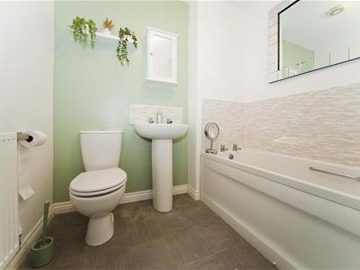 Picture 15